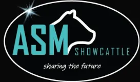 ASM Show Cattle