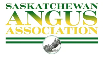 SASk Angus