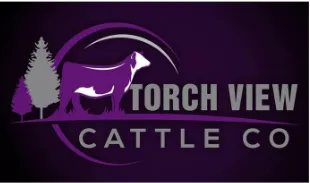 torch view