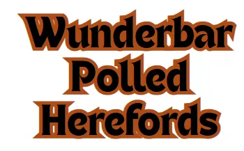 wunderbar