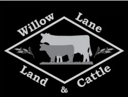 willow lane